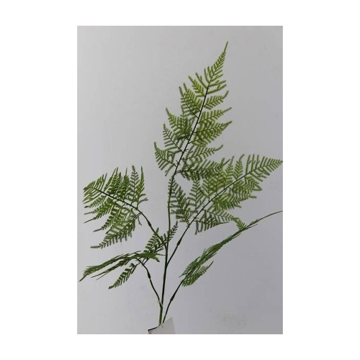 RAMO SPRINGERI X5 CM.113 VERDE